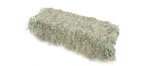 Premium 2 String Eastern Oregon Orchard Grass 95 lb Bales (Second Cutting)