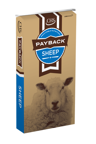 Payback All Purpose Sheep