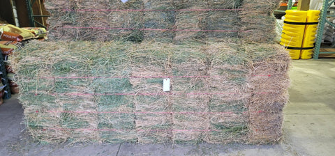 2 String Alfalfa/Orchard Grass Mix 70 lb Bales