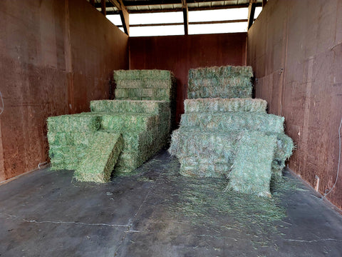Hay, Straw and Other Forage Materials