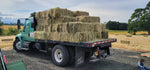 Two String Ryegrass Hay 55 lb Bale