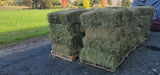 Premium 2 String Certified Pure Alfalfa Hay 65 lb Bales (Third Cutting)