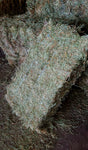 3 String Eastern Oregon Orchard Grass 110 lb Bales (Second Cutting)