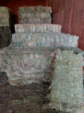 3 String Eastern Oregon Orchard Grass 110 lb Bales (Second Cutting)