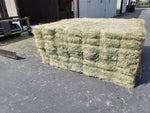 Premium 3 String Eastern Oregon Teff 100 lb Bales