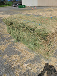 Premium 2 String Eastern Oregon Pure Alfalfa Hay 55 lb Bales (Second Cutting)
