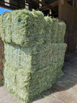 2024 Premium Alfalfa (First Cutting) (Tested, Low Sugar) 60 lb Bales 2 String Eastern Oregon Hay