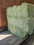 2024 Premium Alfalfa (First Cutting) (Tested, Low Sugar) 60 lb Bales 2 String Eastern Oregon Hay