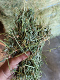 2024 Premium Alfalfa (First Cutting) (Tested, Low Sugar) 60 lb Bales 2 String Eastern Oregon Hay