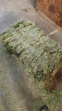 2024 Premium Orchard Grass 60 lb Bales (First Cutting) 2 String Eastern Oregon Hay (Low NSC, TESTED)