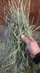 2024 Premium Orchard Grass 60 lb Bales (First Cutting) 2 String Eastern Oregon Hay (Low NSC, TESTED)