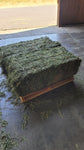 3 String 2nd Cutting Central Oregon 110 lb Feeder Grassy Alfalfa (Cow Hay)