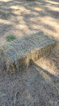 Valley Grass Mix 55 lb Bale (2nd Cutting) Two-String Hay