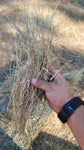 Valley Grass Mix 55 lb Bale (2nd Cutting) Two-String Hay