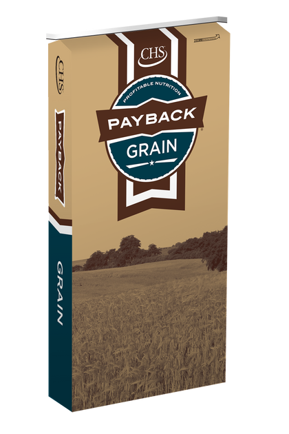 Payback 5 Grain Scratch