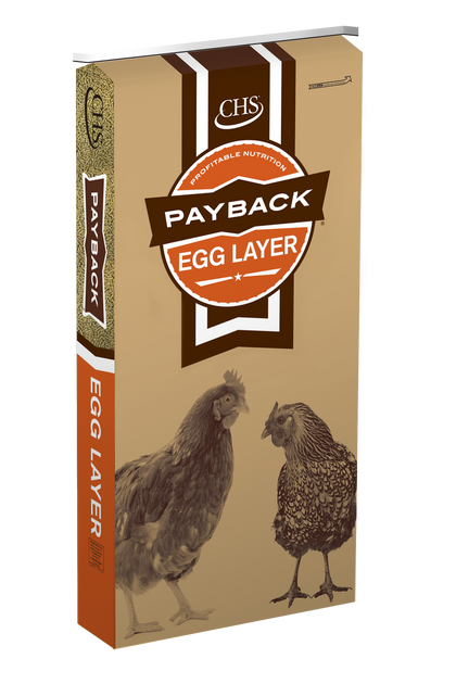 Payback Egg Layer Ration Pellets 17%