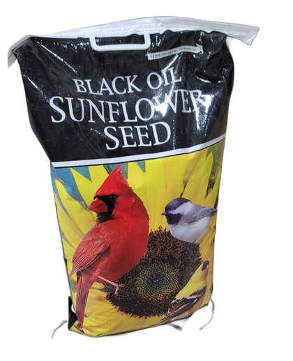 Black Oil Sunflower Seeds