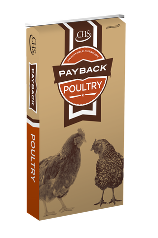 Payback All Purpose Poultry Pellets 19%