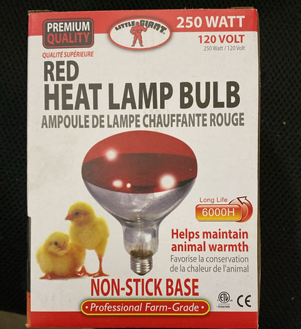 HEAT LAMP RED BULB 250W