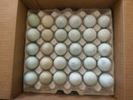 ColorPack Blue Fertile Hatching Eggs