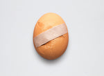 Fertile Hatching Egg Add-On Insurance