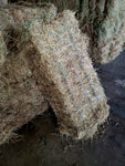 3 String Eastern Oregon Meadow Grass 110 lb Bales (Timothy/Bluegrass Mix)