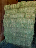 2024 Alfalfa 110 lb Bales (1st Cutting) 3 String Central Oregon Hay