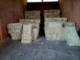 2023 3 String Central Oregon Meadow Grass 110 lb Bales (Timothy/Bluegrass Mix)