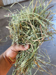 2024 Orchard Grass 110 lb Bales (First Cutting) 3 String Central Oregon Hay (Tested, Low NSC)