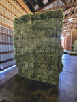 2024 Orchard Grass 110 lb Bales (First Cutting) 3 String Central Oregon Hay (Tested, Low NSC)