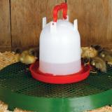 Chick Stand, (21" diameter)