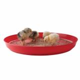 Chick Tray 16"