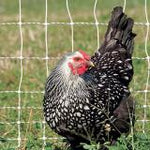 PoultryNet Plus 12/48/3 Kit, (100' roll of white/black, double spike netting & 4 support posts)